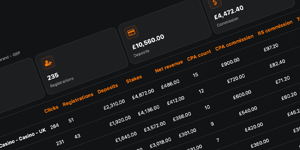 Screenshot of reports area in account